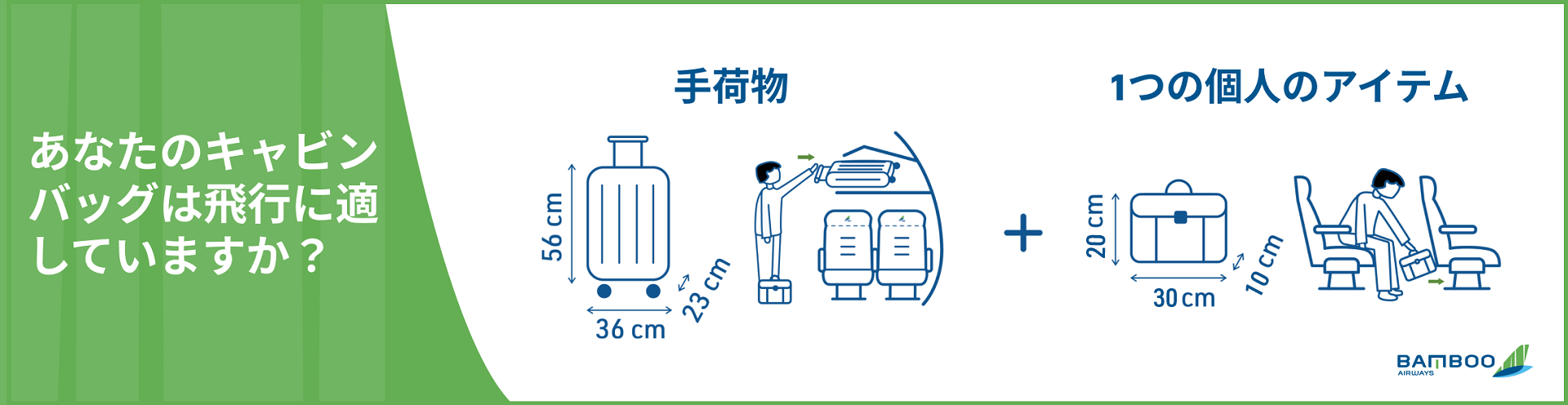 機内持ち込み情報